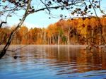 Fall Lake Trees Stock Photo