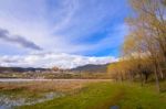 Beautifull Golden Forests And Lake Front Of Songzanlin - Tibetan Stock Photo