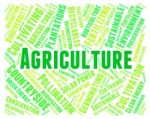 Agriculture Word Showing Cultivates Text And Farm Stock Photo