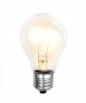 Bulb On White Background Stock Photo