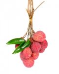 Bundle Lychee Or Litchi Isolated Stock Photo