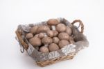 Mushroom Basket Mushrooms On A White Background Stock Photo