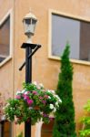 Flower Pots Hanging On The Light Pole Stock Photo