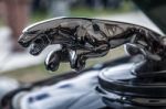 Close-up Of An Old Jaguar Automobile Emblem Stock Photo