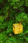 Small Gift Box On Pine Stock Photo