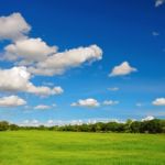 Rice Fields Stock Photo