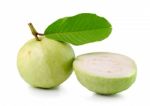 Guava  On White Background Stock Photo