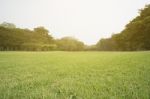 Green Park Scenery Stock Photo