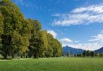 Path Leading From Mondsee Down To The Lake Stock Photo