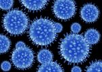 Flu Virus Structure Stock Photo