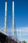 View Of The Eleanor Schonell Bridge Stock Photo