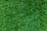 Grass Background Stock Photo