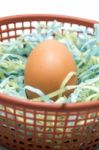 Egg In The Plastic Basket Stock Photo