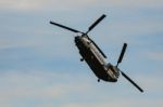 Chinook Hc2 Helicopter Displaying At Airbourne Stock Photo