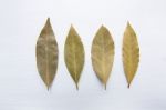 Dried Bay Leaves On White Wooden Background Stock Photo