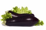 Eggplant On White Background Stock Photo