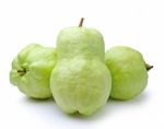 Guava On White Background Stock Photo