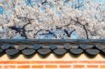 Cherry Blossom With Roof Of Temple In Spring Stock Photo