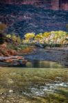 Photographers Walking Along The Virgin River Stock Photo