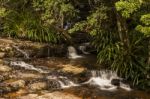 Twin Falls Waterfall Located In Springbrook National Park Stock Photo