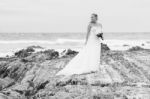 Bride At Snapper Rock Beach In New South Wales Stock Photo