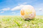 Soccer Ball On Green Grass Stock Photo