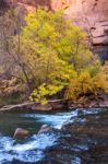 Small Rapids On The Virgin River Stock Photo