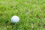 Golf Ball In The Rough Stock Photo