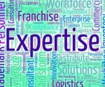 Expertise Word Represents Educated Wordclouds And Specialist Stock Photo