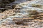 Mammoth Hot Springs Stock Photo