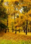 City Park In Autumn Stock Photo