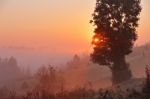 Foggy Rural Scene. Misty Morning In Mountains Stock Photo