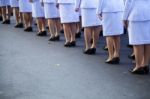 Officer Standing Line Up Stock Photo