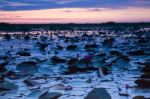 Beautiful Blue Sky Sunset At Lotus Lake Stock Photo