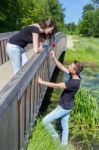 Young Man Offers Red Rose To Attractive Girl On Bridge Stock Photo