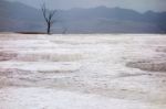 Mammoth Hot Springs Stock Photo