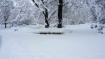 Winter In The Park. Sofia, Bulgaria Stock Photo