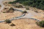 Cyprus, Greece/europe - July 21 : Two Lines Of Beehives In Cypru Stock Photo