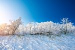 Deogyusan Mountains Is Covered By Snow In Winter,south Korea Stock Photo