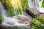 Fresh Green Plant And Rock In Middle Mun Dang Waterfall Rain Sea Stock Photo