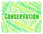 Conservation Word Indicates Earth Friendly And Conserving Stock Photo