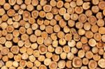 Firewood Stock Photo