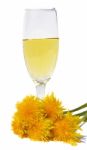 Dandelion Wine Stock Photo