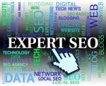 Expert Seo Shows Search Engines And Ability Stock Photo