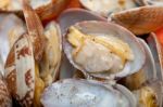 Fresh Clams On An Iron Skillet Stock Photo