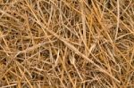 Straw Background Stock Photo