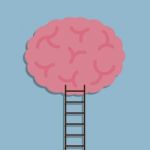 Ladder To Brain Idea Stock Photo