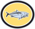 Kingfish Cartoon Oval Stock Photo