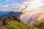 Phu Chi Fa Forest Park At Sunset, Thailand Stock Photo