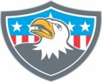 American Bald Eagle Head Flag Shield Cartoon Stock Photo